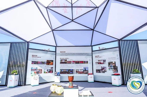 直擊第五屆江蘇志愿服務展示交流會開幕 蘇州市青年“手繪鄉村”志愿服務項目特展現場紀實